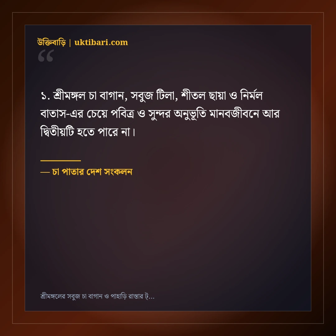 শ্রীমঙ্গলের সবুজ চা বাগান ও পাহাড়ি রাস্তার ট্রাভেল ক্যাপশন: ৫০+ সতেজ ভ্রমণ স্ট্যাটাস [২০২৬] - চা পাতার দেশ সংকলন এর সেরা উক্তি ফটো কার্ড
