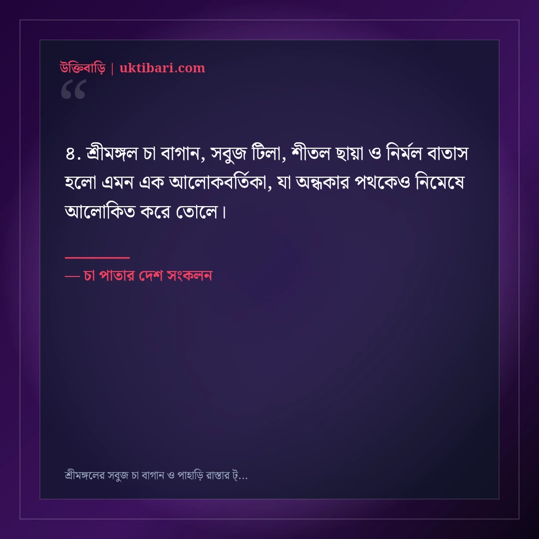 শ্রীমঙ্গলের সবুজ চা বাগান ও পাহাড়ি রাস্তার ট্রাভেল ক্যাপশন: ৫০+ সতেজ ভ্রমণ স্ট্যাটাস [২০২৬] - চা পাতার দেশ সংকলন এর সেরা উক্তি ফটো কার্ড