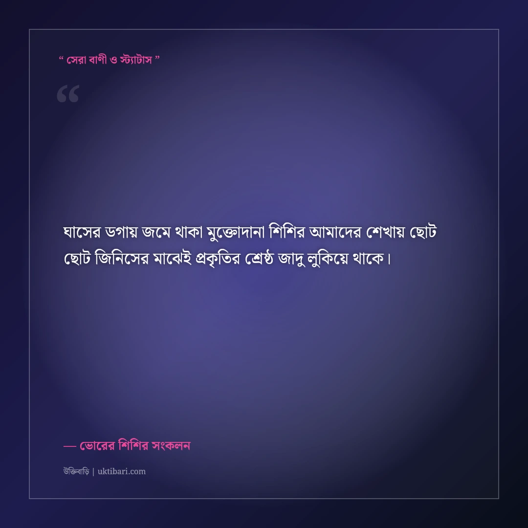 শিশিরভেজা সবুজ ঘাস ও ভোরের প্রকৃতির ক্যাপশন: স্নিগ্ধ রূপের ৫০+ ফেসবুক স্ট্যাটাস [২০২৬] - ভোরের শিশির সংকলন এর সেরা উক্তি ফটো কার্ড