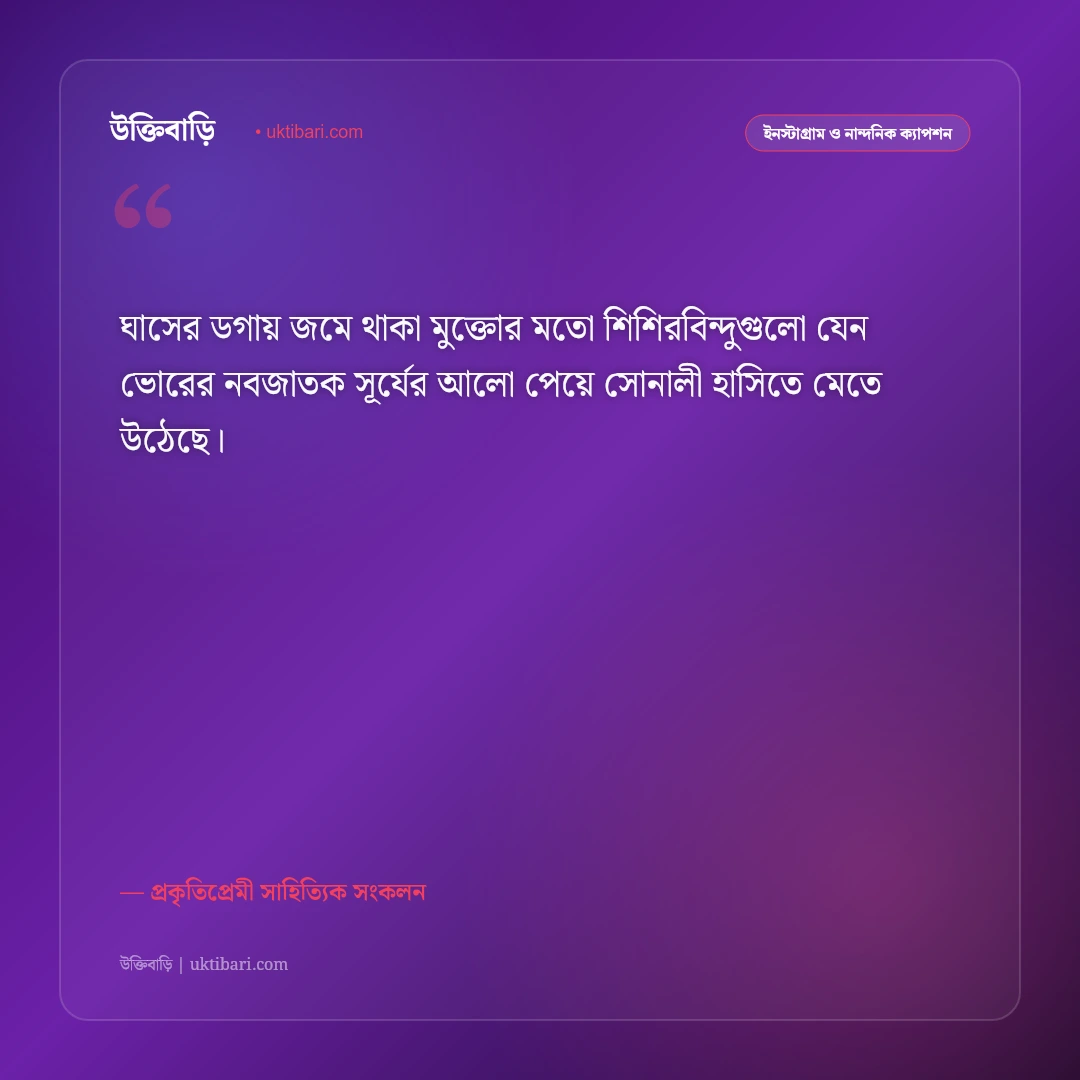 শীতের সকালের কুয়াশা ও মিষ্টি রোদের ক্যাপশন: স্নিগ্ধ শীতের ভোরের ৫০+ নান্দনিক ফেসবুক স্ট্যাটাস [২০২৬] - প্রকৃতিপ্রেমী সাহিত্যিক সংকলন এর সেরা উক্তি ফটো কার্ড