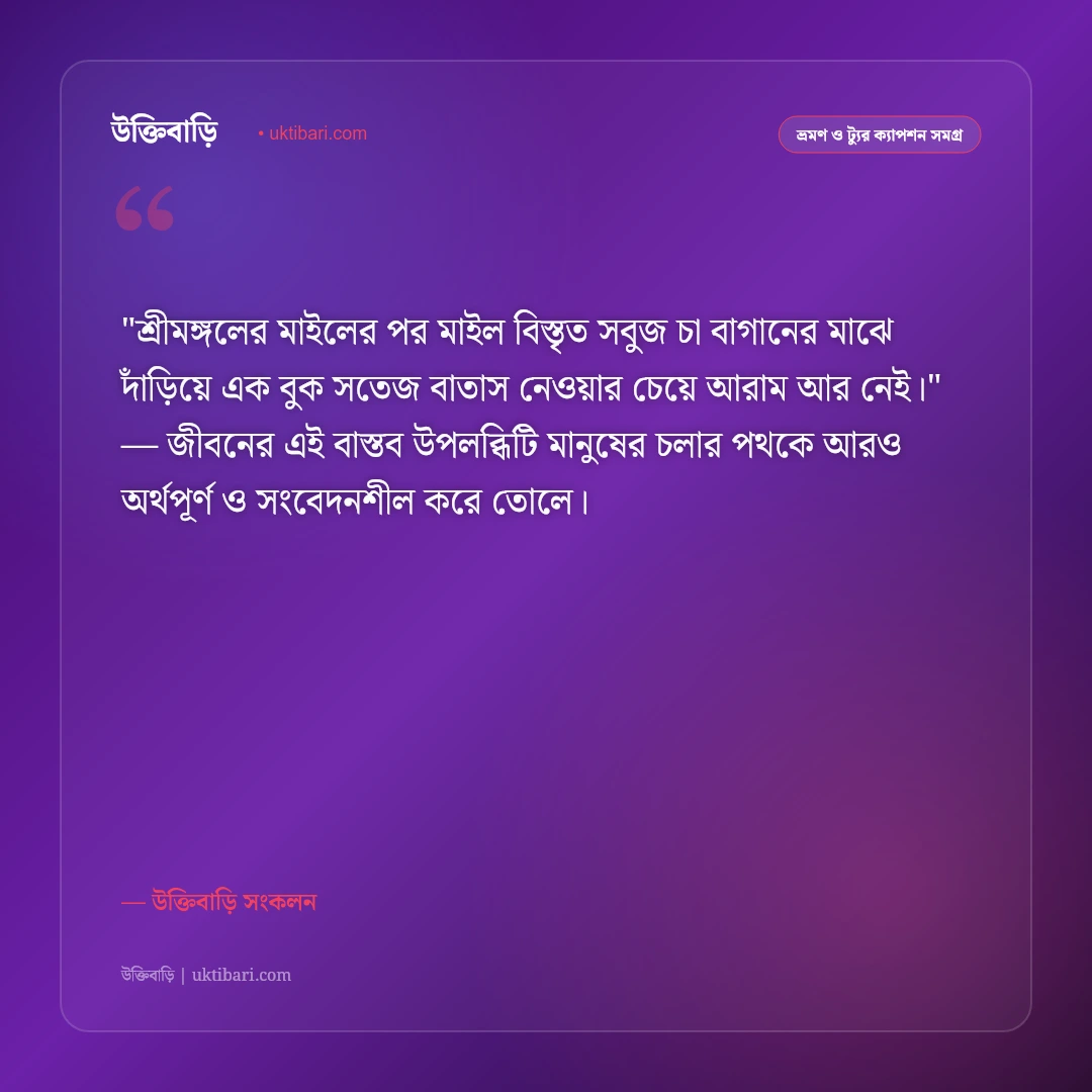 সিলেট ভ্রমণ ও চা বাগানের ক্যাপশন: সবুজ পাতার স্নিগ্ধতায় ৫০+ নান্দনিক স্ট্যাটাস [২০২৬] - উক্তিবাড়ি সংকলন এর সেরা উক্তি ফটো কার্ড