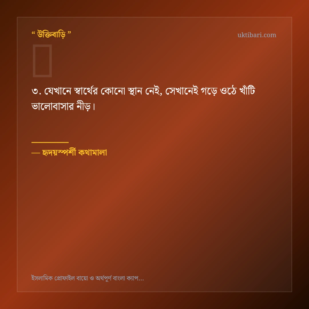 ইসলামিক প্রোফাইল বায়ো ও শর্ট ক্যাপশন নিয়ে নির্বাচিত উক্তি ও স্ট্যাটাস কার্ড 3