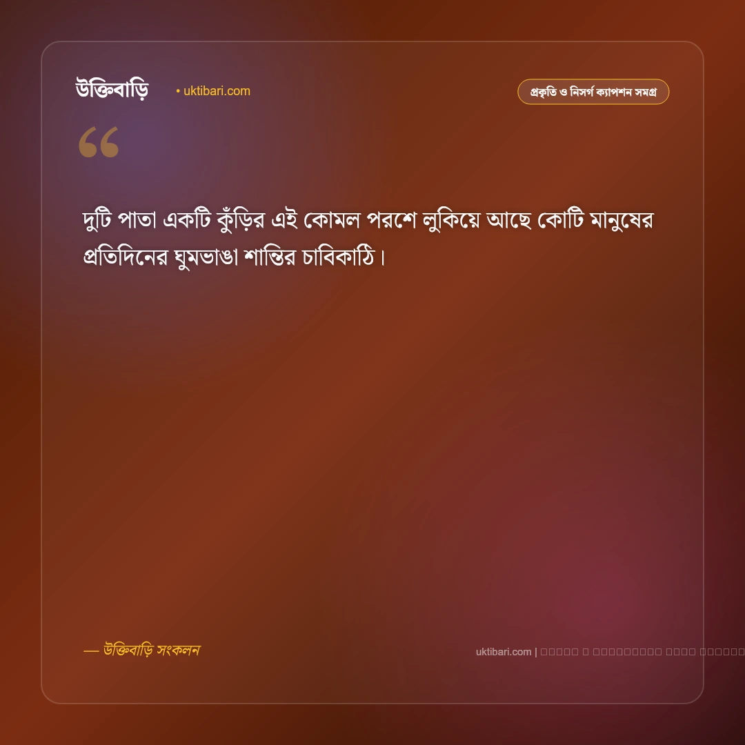 চা গাছ নিয়ে ক্যাপশন ও সবুজ প্রকৃতির রূপ [২০২৬] - ফটো কার্ড 2