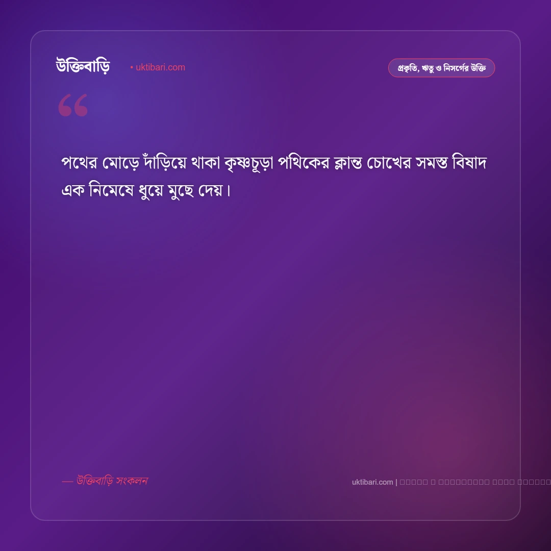 কৃষ্ণচূড়া গাছ নিয়ে উক্তি: রক্তরাঙা ফুল ও বৈশাখী নিসর্গের সেরা ৫০+ নান্দনিক বাণী [২০২৬] - ফটো কার্ড 5