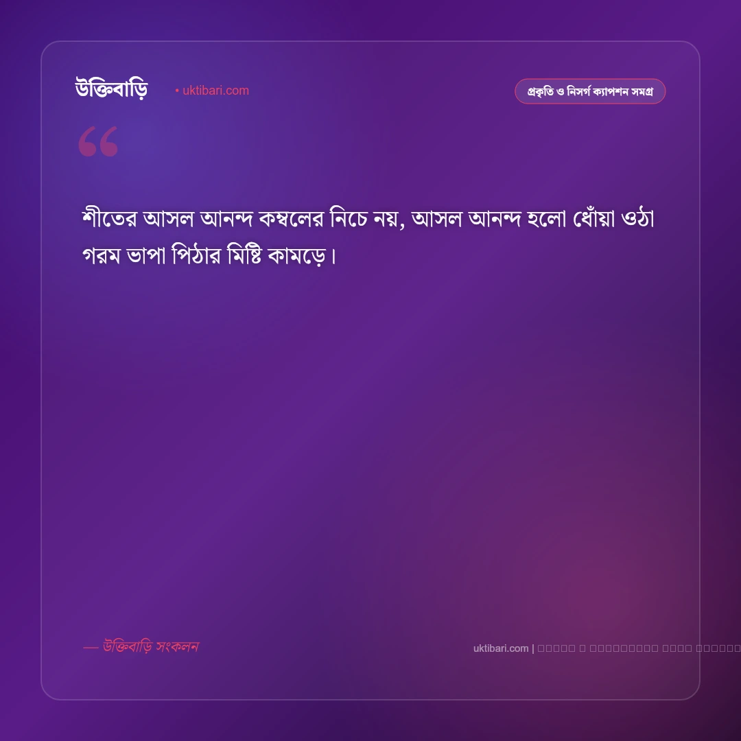 শীত পিঠা নিয়ে ক্যাপশন ও উৎসবের আমেজ [২০২৬] - ফটো কার্ড 1