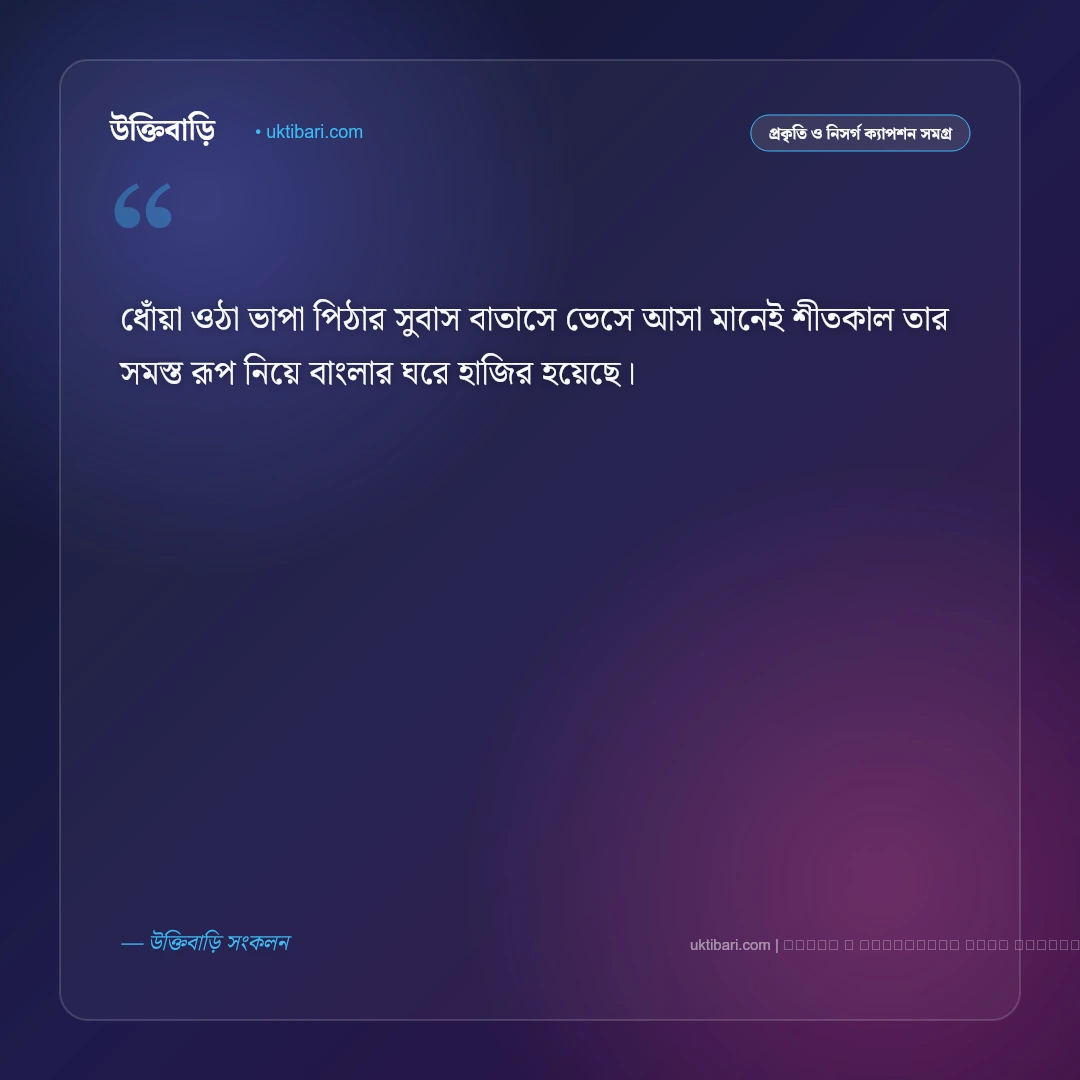 শীত পিঠা নিয়ে ক্যাপশন ও উৎসবের আমেজ [২০২৬] - ফটো কার্ড 4