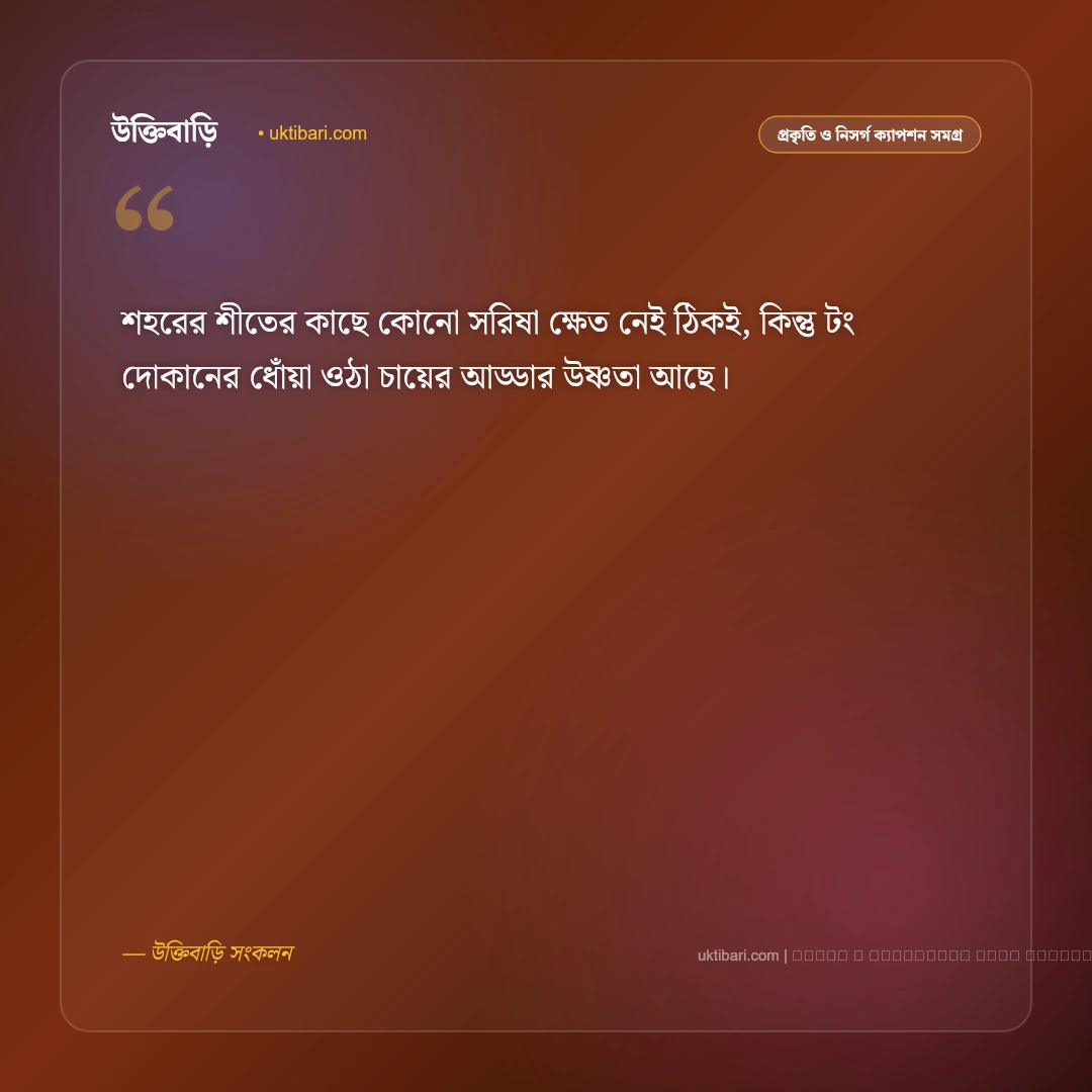 শহরের শীত নিয়ে ক্যাপশন: কুয়াশাচ্ছন্ন নগরীর ৫০+ মায়াবী ক্যাপশন - ফটো কার্ড 3