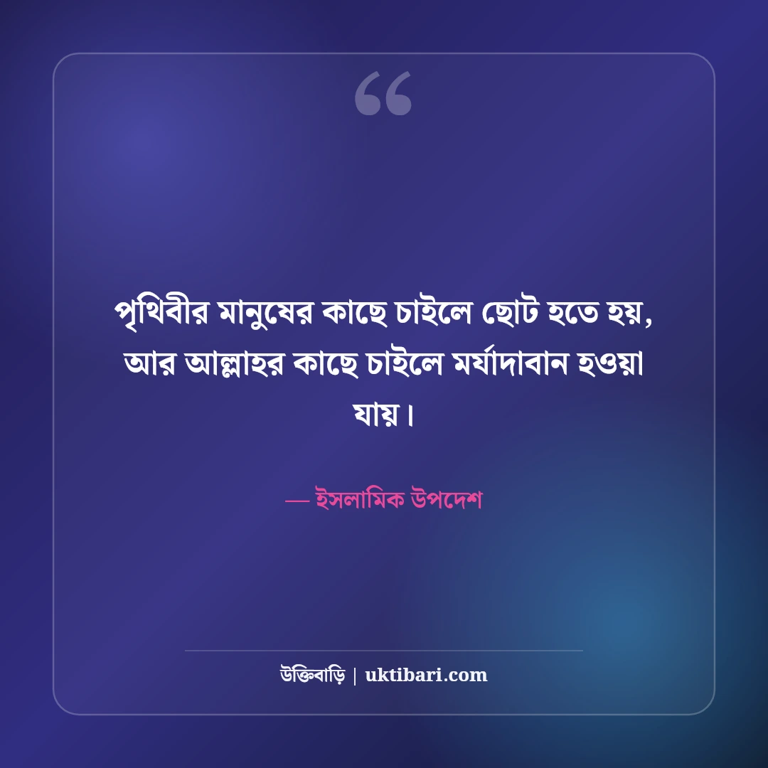 ইসলামিক স্ট্যাটাস ও ক্যাপশন: মন জুড়ানো সুন্দর পোস্ট ও দোয়া কালেকশন [২০২৬] - ইসলামিক উপদেশ এর সেরা উক্তি ফটো কার্ড